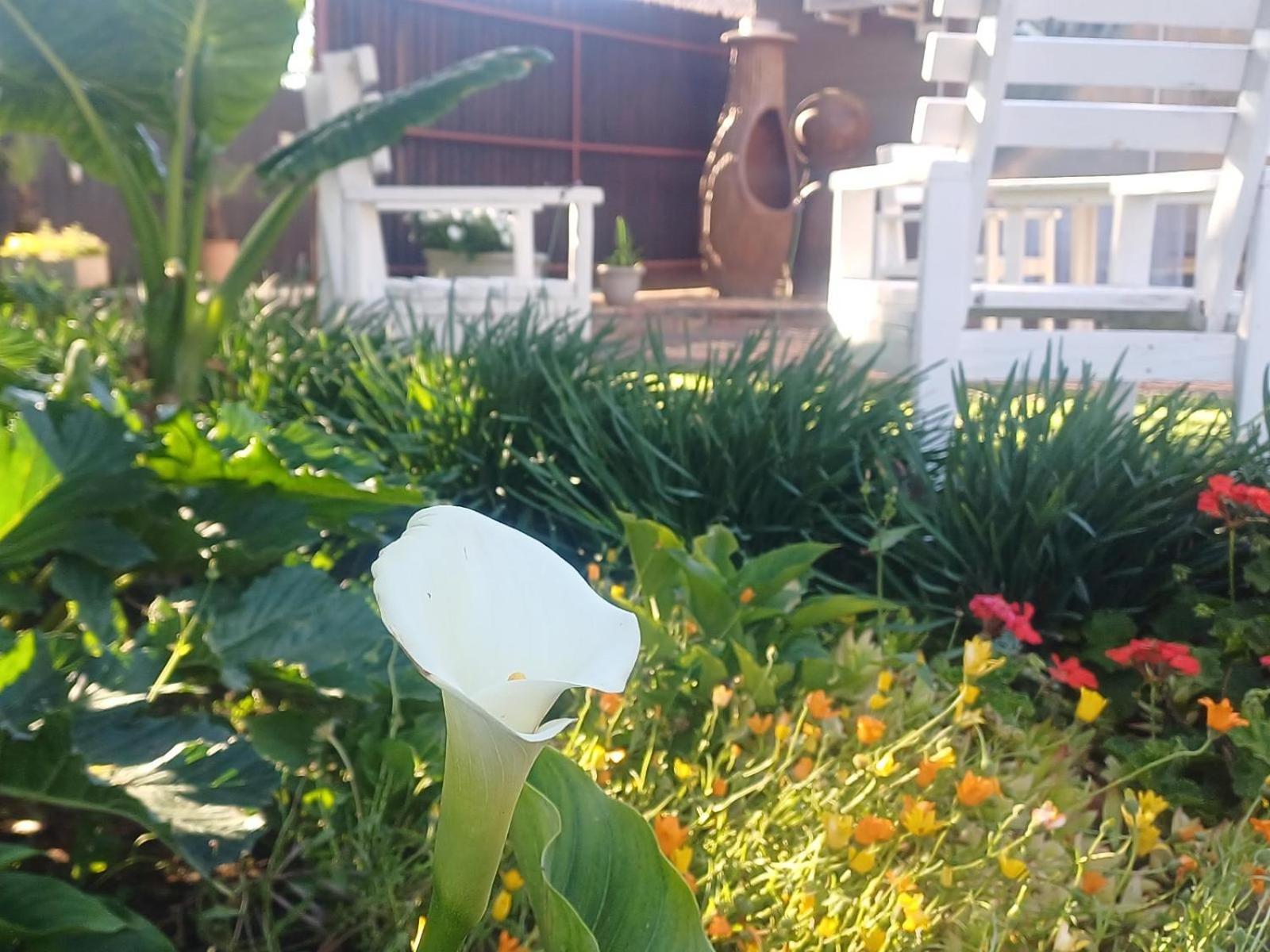Ceelee'S Place Bloemfontein Luaran gambar